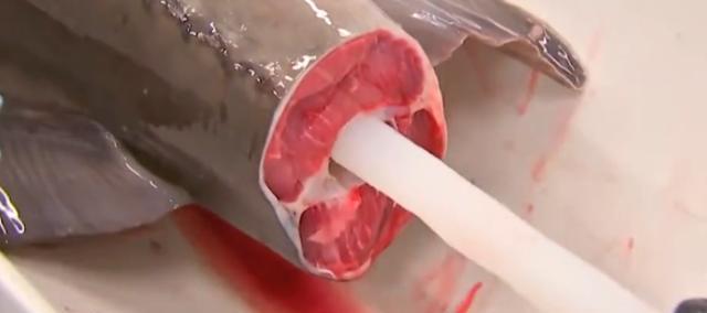 抽龙|古代皇帝才能吃的宫廷菜“抽龙筋”,现在人人都能吃,你知道是啥