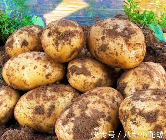 打了激素的土豆怎么区分?内行人教你3招,回回买到优质土豆!
