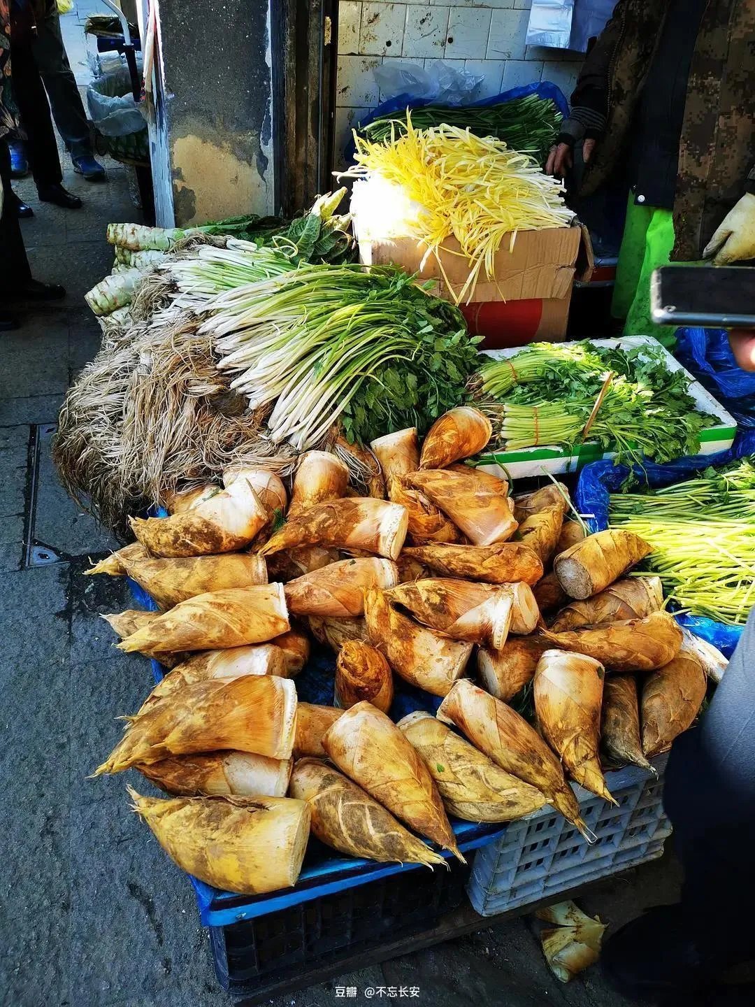 人约黄昏后#诗词丨给40首古诗加上配图,恍然大悟,惊为天人