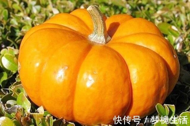 三伏天,遇到这菜别放过,维C是土豆5倍,9毛钱1斤,做成面食最香