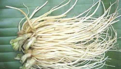 蔬菜根都是厨房垃圾？错，3种蔬菜根别再扔了！全是“养生法宝”