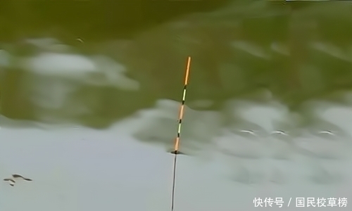 钓鱼大师:顿口是这么来的,下次知道该怎么调漂了吧