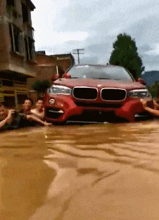 |搞笑gif:一场神奇的车祸,使这位司机红了