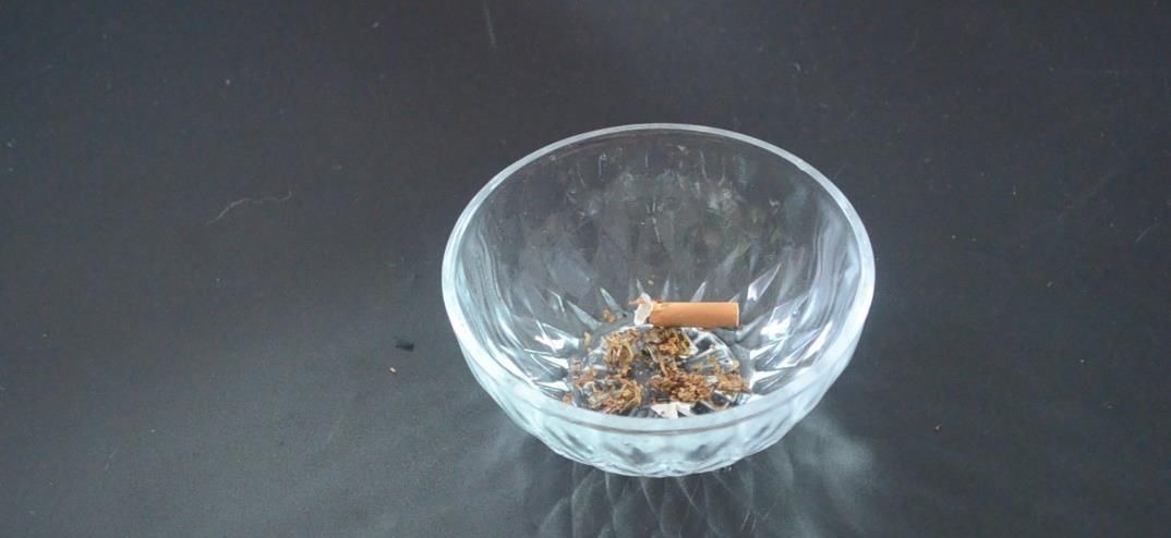 烟头加洗衣粉用水泡一下, 没想到还有这个作用, 看完你会感谢我的