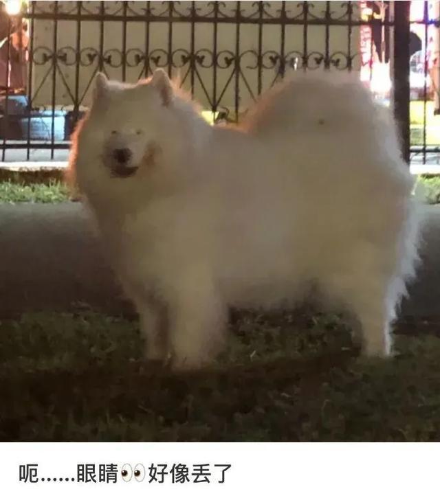 |「被窝段子0925」发脾气 只表示您的智慧不足以解决您所面临的问题