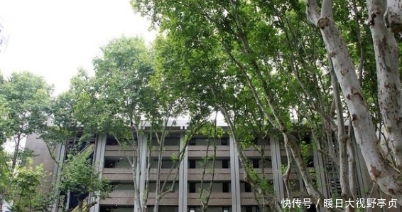 满分|他高考作文仅写755字,有30字阅卷组长也不认识,却被评为满分作文