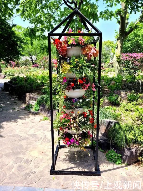 颜值爆表 普陀这里换 新装 啦 快资讯