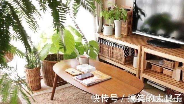 太太|日本退休夫妇的蜗居生活,房子虽小却布置得温馨精致,惹人喜爱!