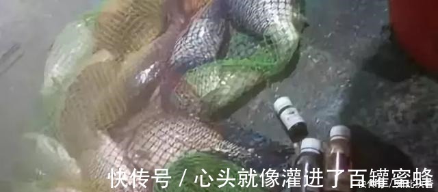 水草处|秋钓草边“三钓”、“三不钓”,用好了总有一次要爆护!