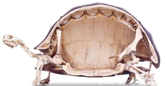 矿泉水瓶|25张罕见的照片,现代战舰的底部太科幻,好像动画片里的飞船