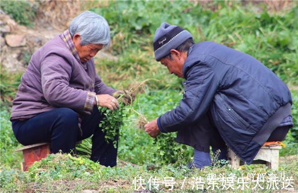 反思|越来越多婆婆不愿帮忙带娃，多数是3点原因，子女们值得反思