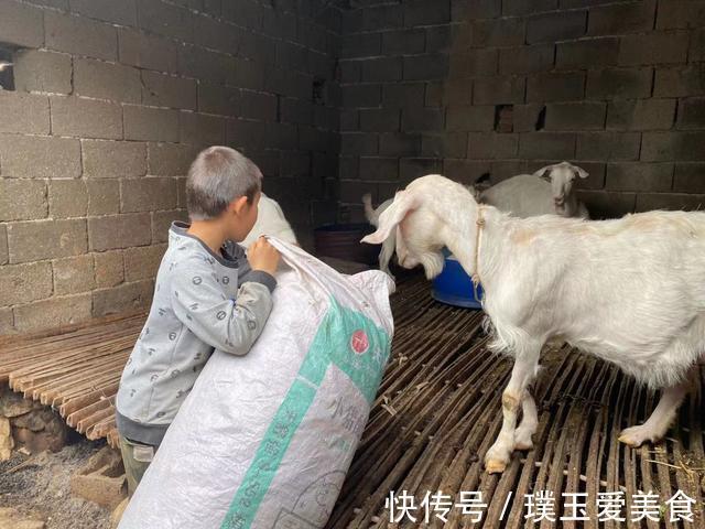 姑父|父亡母走,8岁男孩在姑姑姑父庇佑下长大:他们是我的再生父母