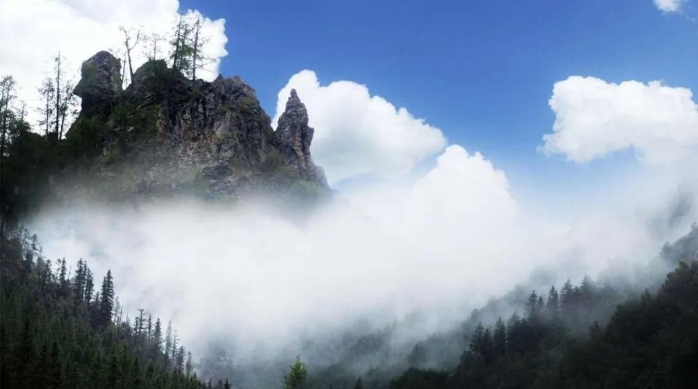 卓尼|卓尼这片热土,您是否情有独钟