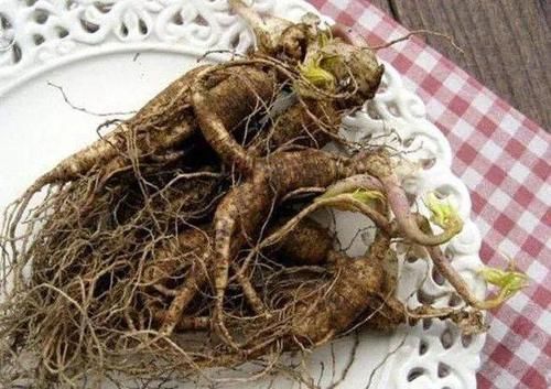 华佗眼里的“补肾药”,晚上吃点,唤醒“雄激素”,肾越来越棒