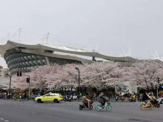 HOST樱花节与最美地铁站，由他们守护！