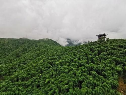 五女泉|中国最大竹海，坐落在著名竹乡，《卧虎藏龙》经典片段就由此产生