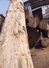 |搞笑GIF:吃货妹子真是伤不起啊,坐个席拿这么大的袋子呢