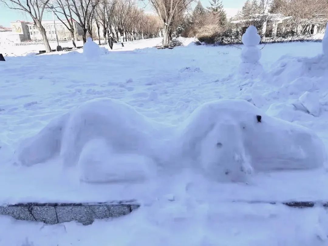 田鹏|女大学生的“雪灯”火了