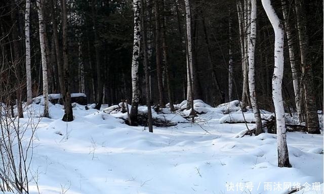  威虎山在什么地方