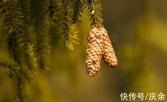 怀君|韦应物写给好友的一首诗,短短20字,胜过千言万语