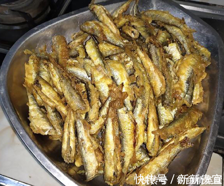 白条鱼|野钓白条的几种方法，上鱼速度一绝，一天钓十几斤是家常便饭