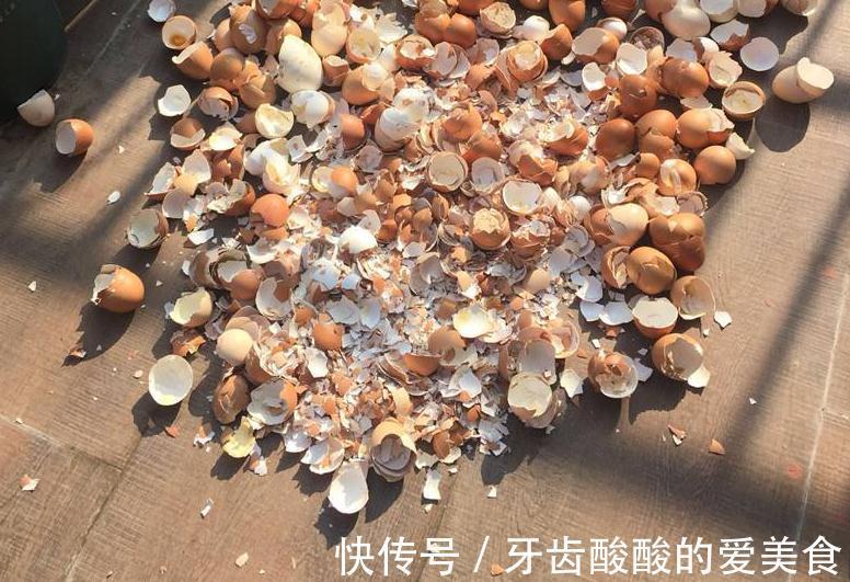 自来水|这种厨房垃圾不能扔,加工后养花,比花钱买的肥还温和好使