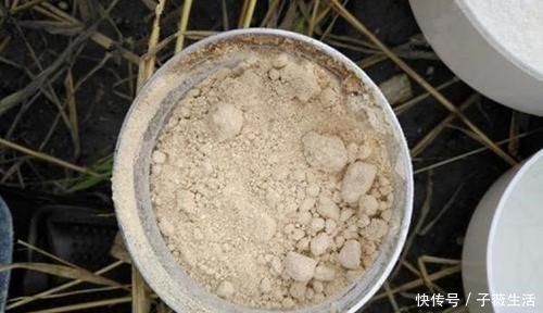 灰面|钓鱼必杀技：盘点民间这些用饵“野路子”，大鲫连竿的秘密绝招！