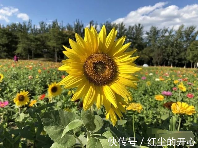 |年度挤进前十名的微信段子,笑死了,一起来看看吧