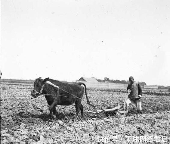 晚清时期|图说晚清时期的劳苦大众,生活很艰苦,吃饱穿暖就是最大的追求!