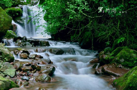 游山玩水、赏花赏景…...来黑竹沟邂逅初夏第一波清凉！|乐游嘉学 | 赏花