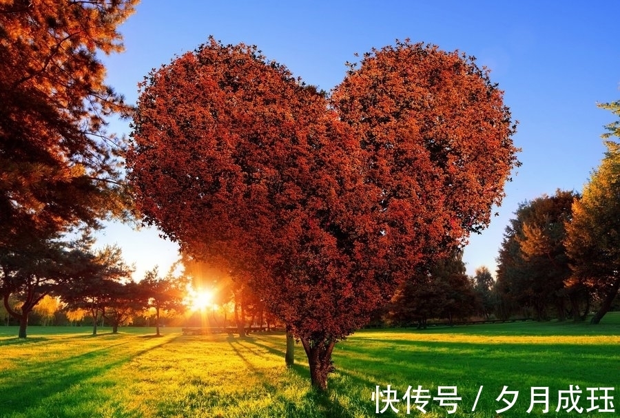 诸侯@知足常足:老子的救世方案