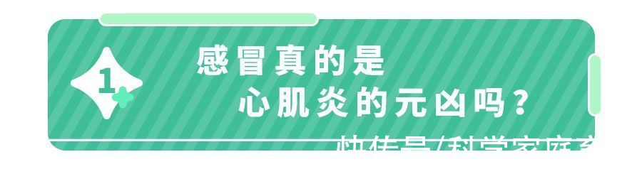 ecmo|“感冒后爆发心肌炎，我永远失去了孩子”千万分清感冒or心肌炎