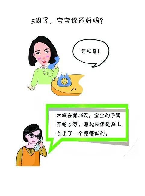 发育|孕5周的胎宝宝发育到什么程度了？