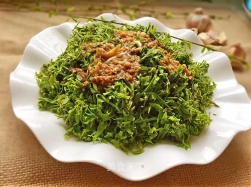 柳树|这种树的嫩芽还能吃?富含多种维生素,身边到处都是,做成菜,香!