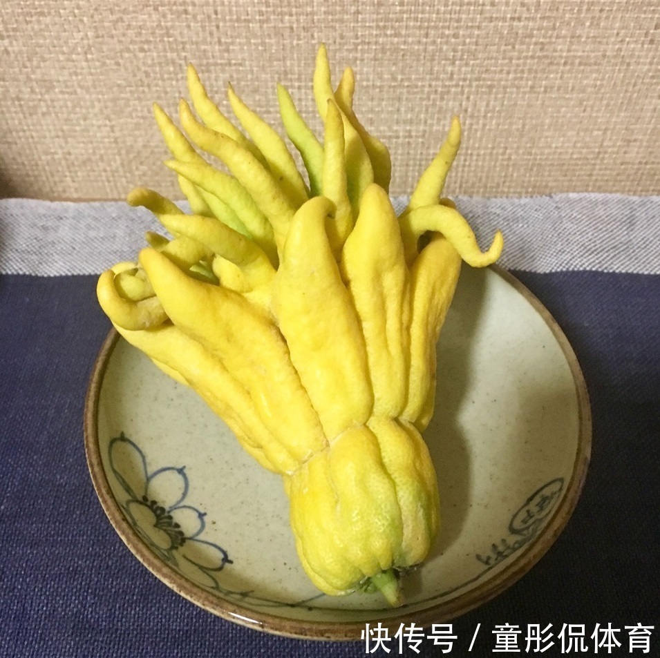 薄荷|养花要学老中医,选5种花养家里能“养人”,都有多种功效