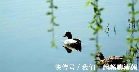 全宋诗@苏轼的10首宋诗,不输其词,皆是名篇,值得收藏