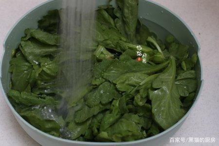 咳嗽|春天抓紧吃这菜,咳嗽痰多就怕它,一周吃三次,嗓子舒服气也顺