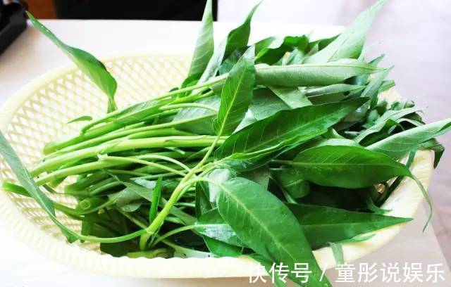 小知识|空心菜为何一炒就黑,原来“第一步”就搞错了,难怪家人不喜欢吃