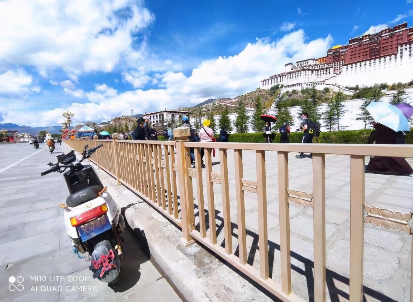 出行|25天4600公里！17岁追梦男孩骑电动车到西藏，下一站三亚