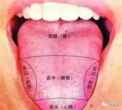 失眠|火在肺里鼻炎,火在肝里失眠,火在胃里口臭,一招降火效果好!