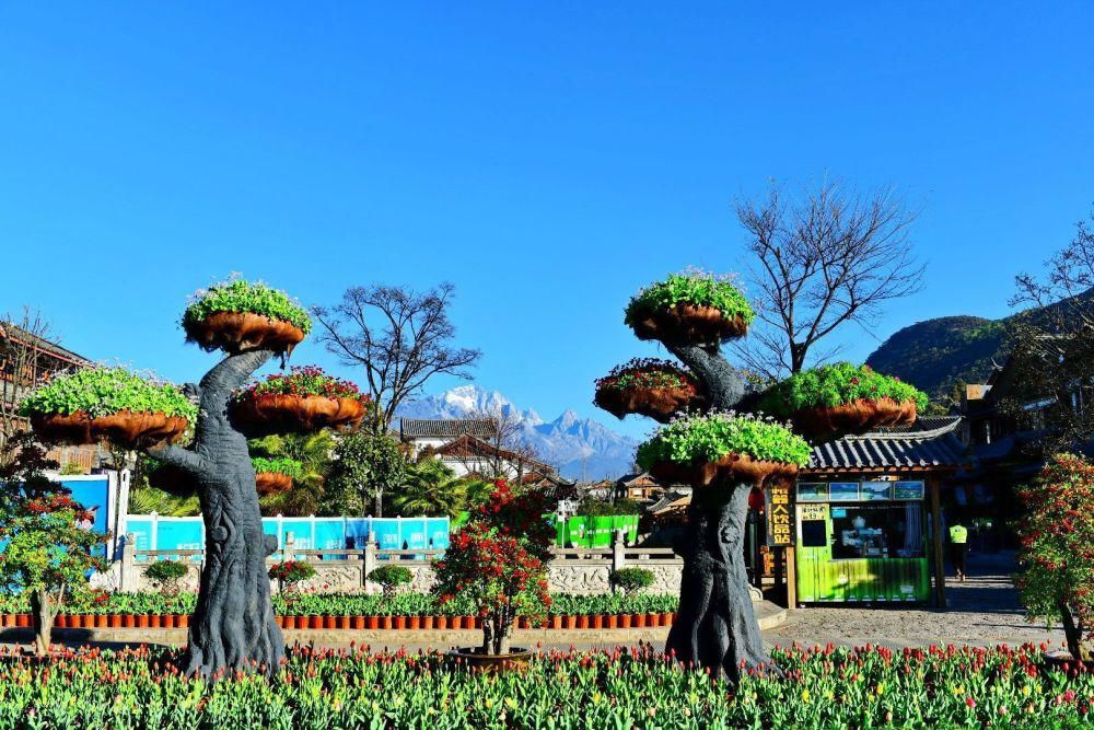 中年|春节，晒一晒丽江美，丽江蓝！