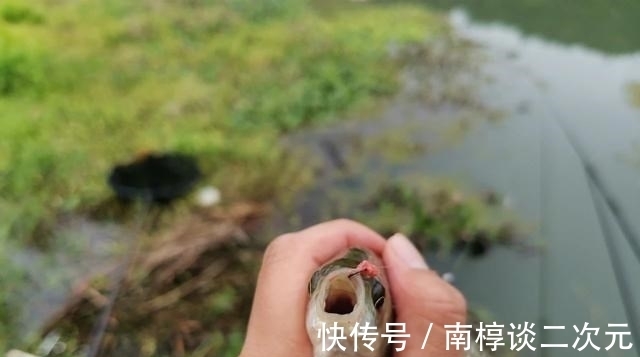 天气变冷后，鱼都躲哪里去了？冬天野钓得靠“人找鱼”！