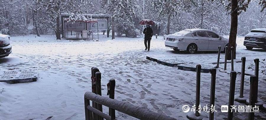 大学生|大雪下的驻济学生：校园里肆无忌惮滚雪球，那是我们的青春啊