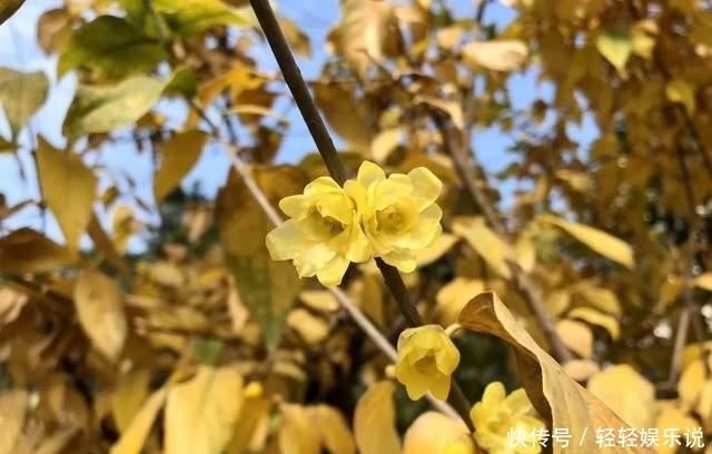  次日|江南才女被人诬陷，凭借一首词为自己洗冤，次日便获得自由