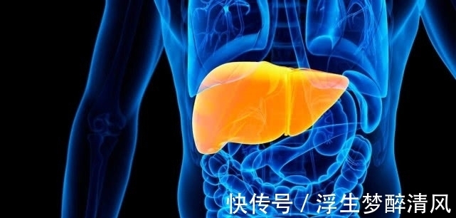 长寿秘诀|人类长寿秘诀已找到,研究表明:越早做“这件事”,越能延长寿命