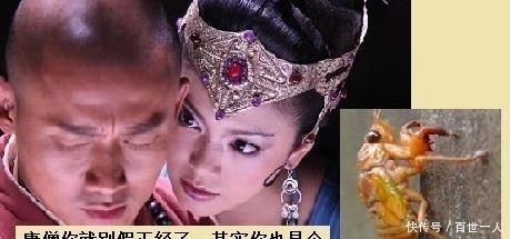 孙悟空|唐僧为什么是金蝉子吴承恩哈哈大笑这个名号,其实与孙悟空有关