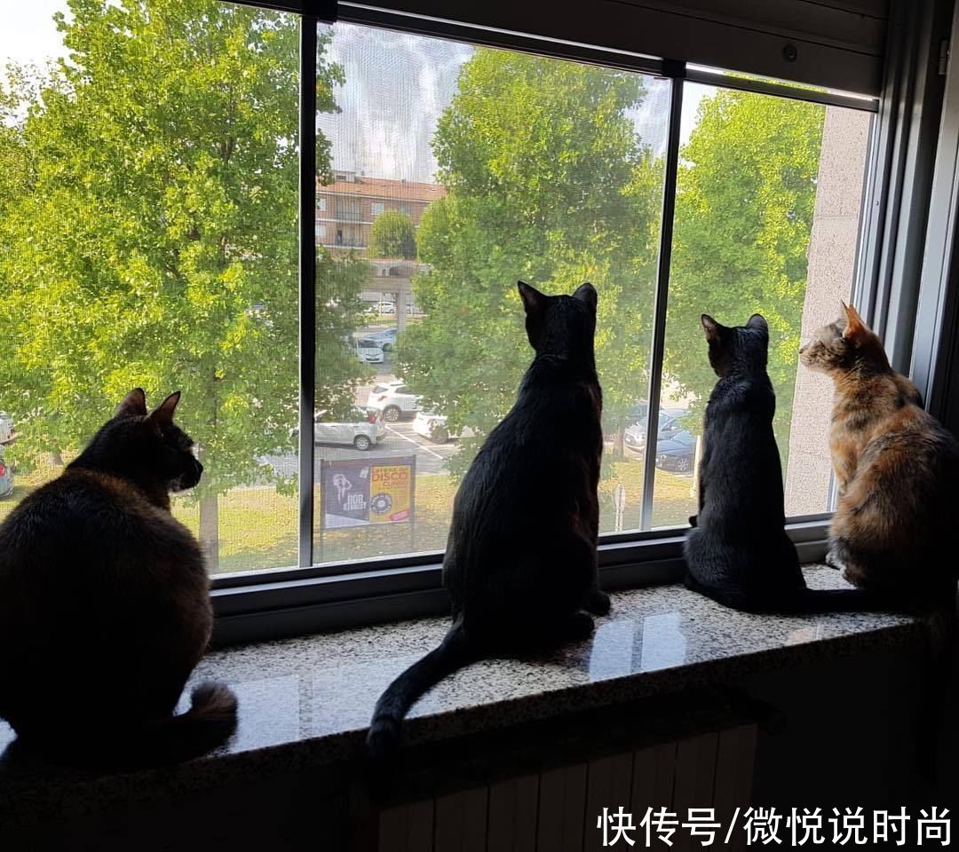 黑眼圈很严重怎么办？怎么拯救特别严重的黑眼圈？