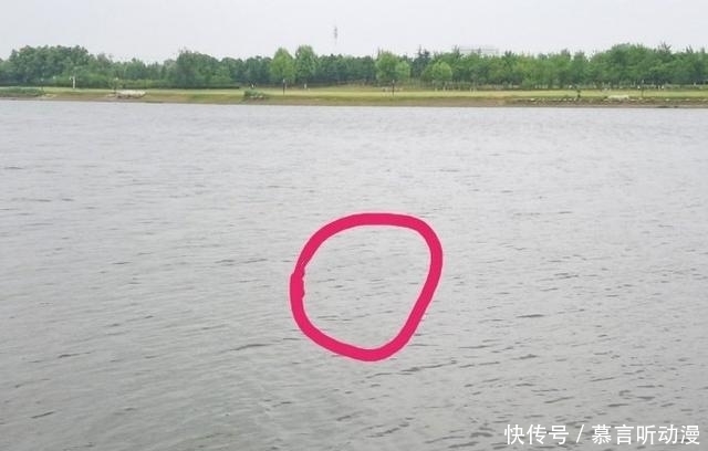 鱼竿被拖后,又会被鱼拉回岸边?不是鱼累了,是它太聪明!