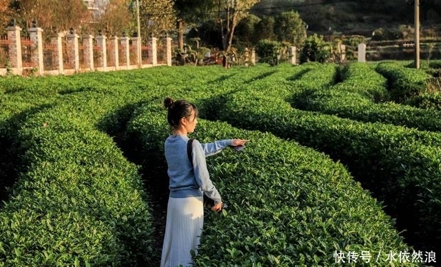 荆楚名山下600年老村，房屋像别墅，70岁老汉一年收租8万5！