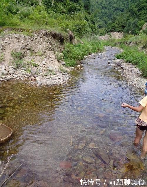 营养土还在买？3种东西混一混，变成万能花土，养啥旺啥！